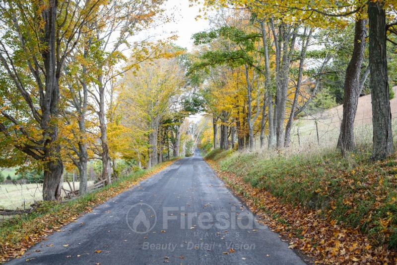 Country Roads (autumn)